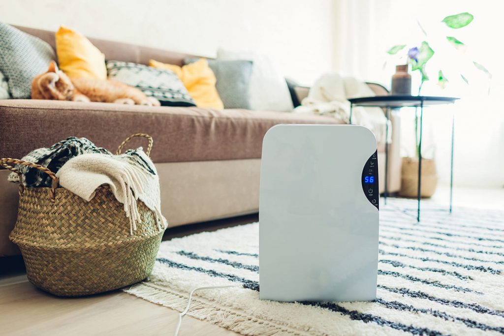 5 Best Small Dehumidifiers to Safeguard Your Home from Humidity